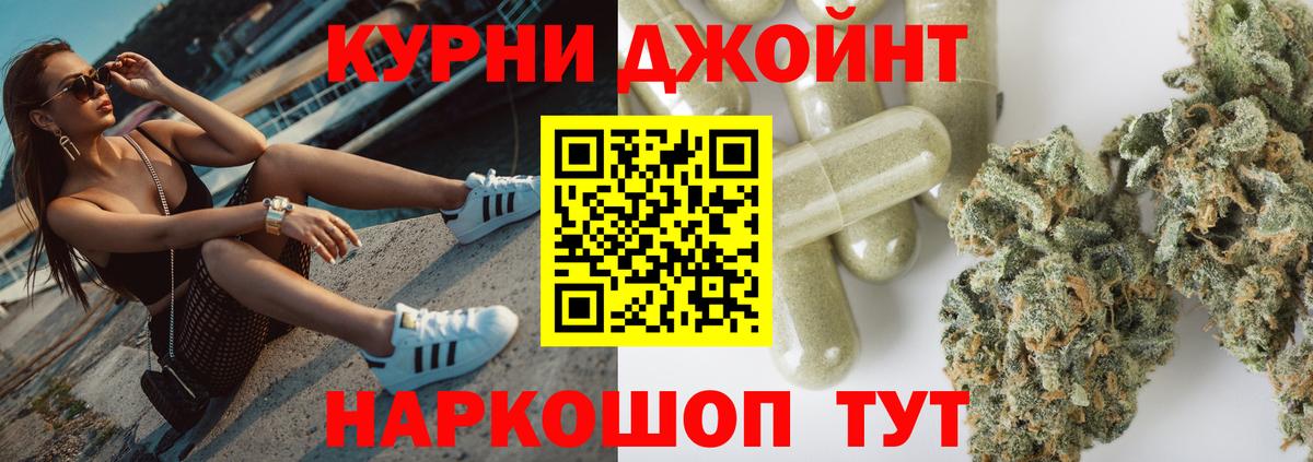 Конопля конопля  Канабис сатива  Октябрьский  Вход с VPN  Канабис Amnesia 